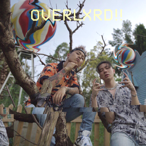 鉴黄师污版下载
