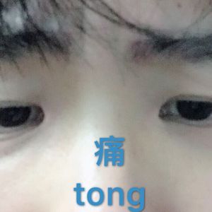 鉴黄师污版下载
